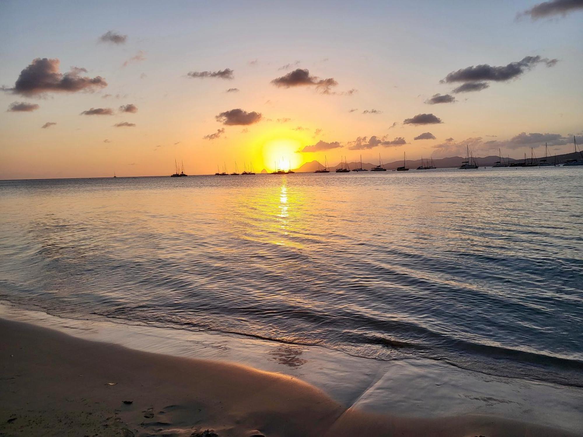 Vue Magnifique Sur La Nature , Proche Des Plages 4 A 6 Pers Riviere-Pilote ภายนอก รูปภาพ